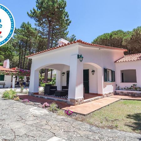 Ocean, Pines And Mountain - Renovated February 2025 - Ac Villa Colares Exterior foto
