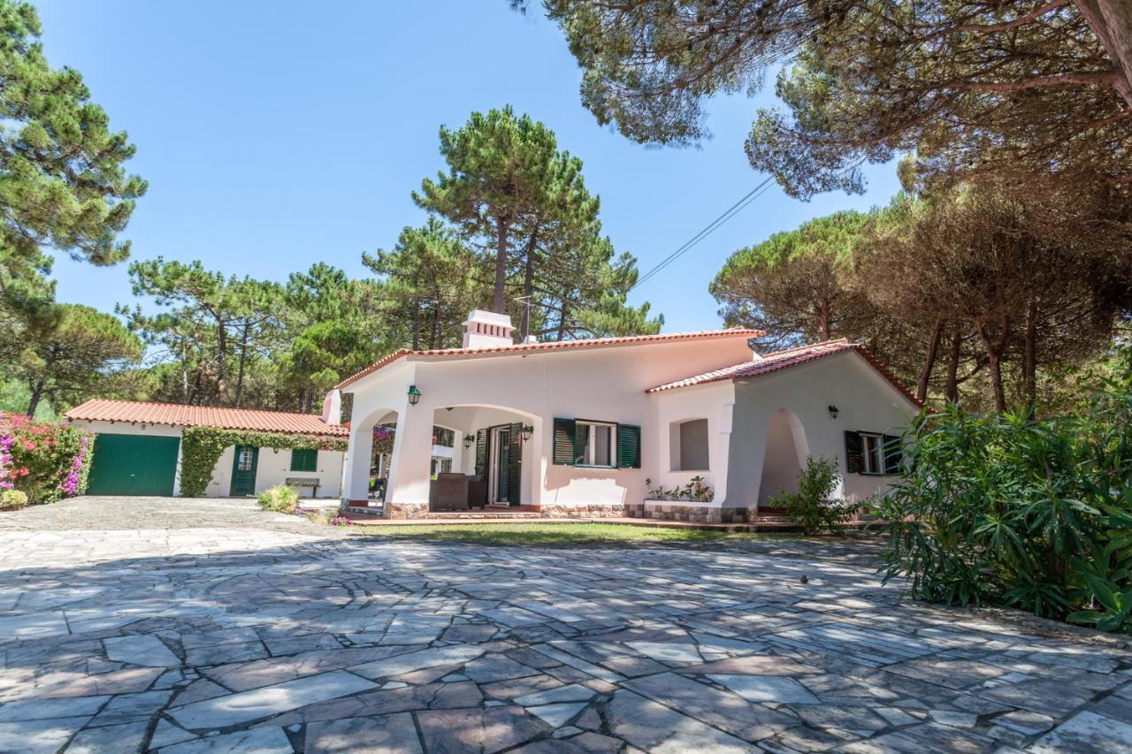Ocean, Pines And Mountain - Renovated February 2025 - Ac Villa Colares Exterior foto